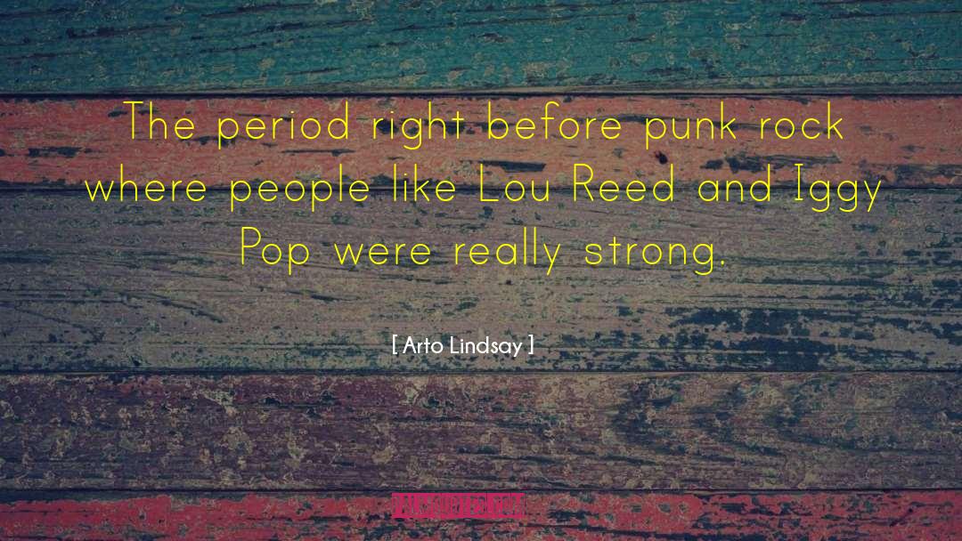 Arto Lindsay Quotes: The period right before punk