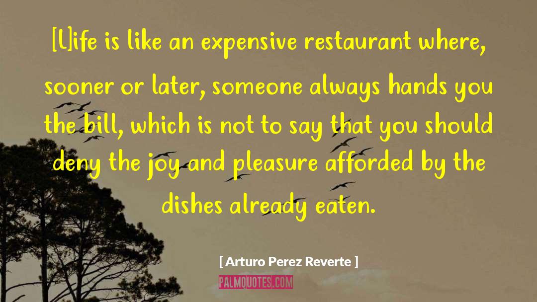 Arturo Perez Reverte Quotes: [L]ife is like an expensive