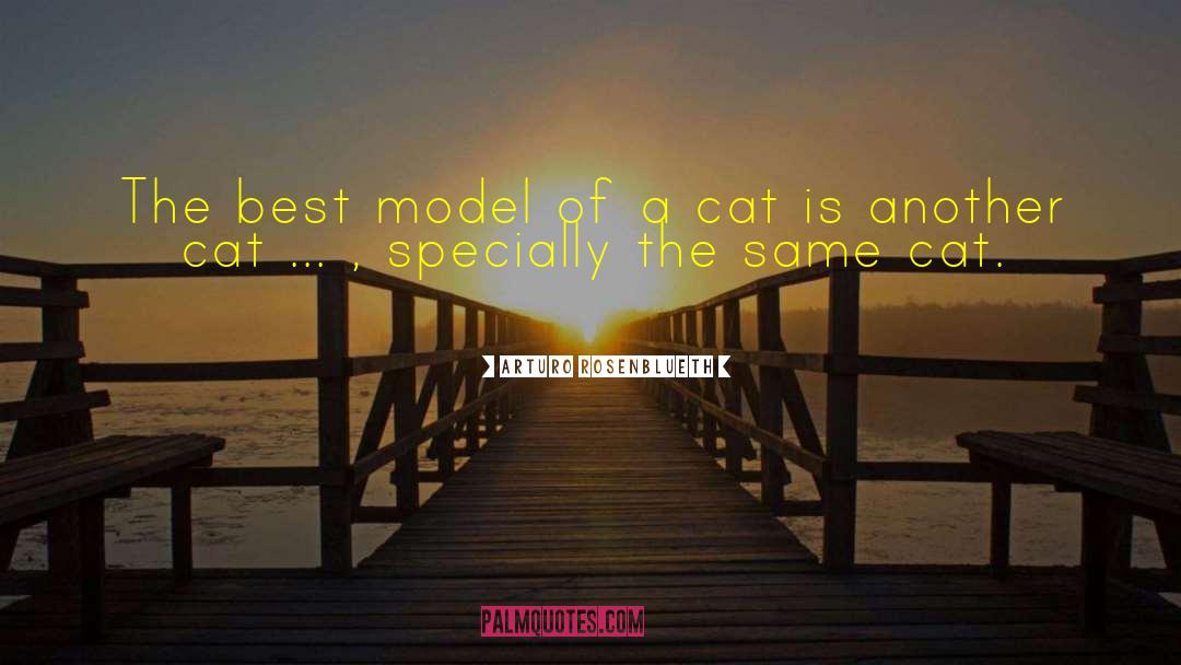 Arturo Rosenblueth Quotes: The best model of a