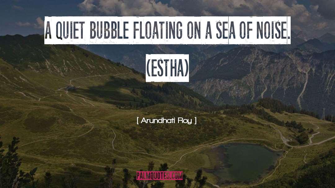 Arundhati Roy Quotes: A quiet bubble floating on