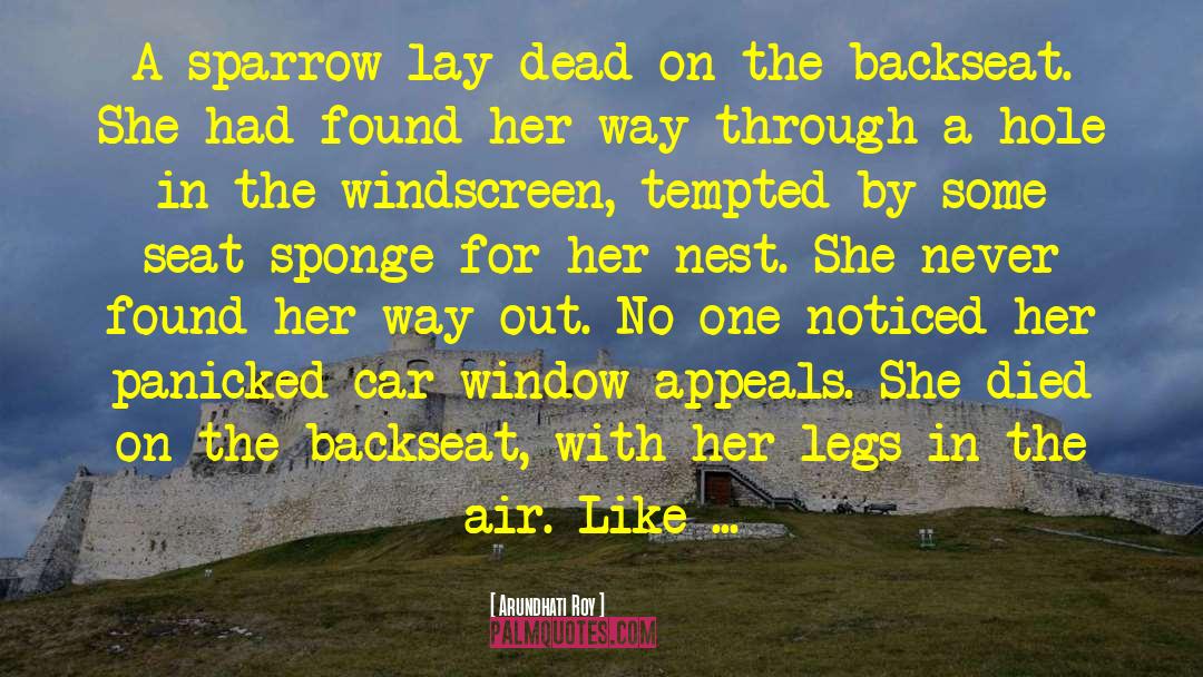 Arundhati Roy Quotes: A sparrow lay dead on