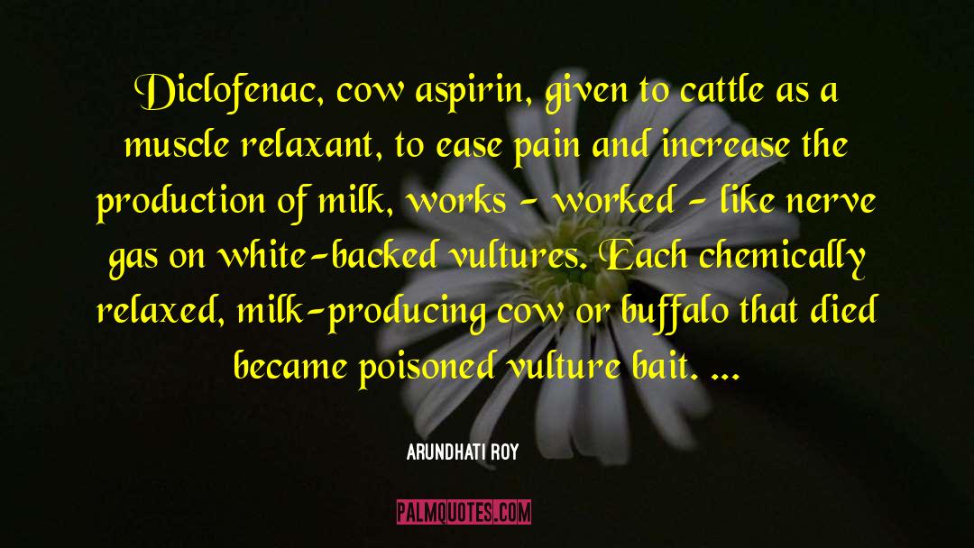 Arundhati Roy Quotes: Diclofenac, cow aspirin, given to