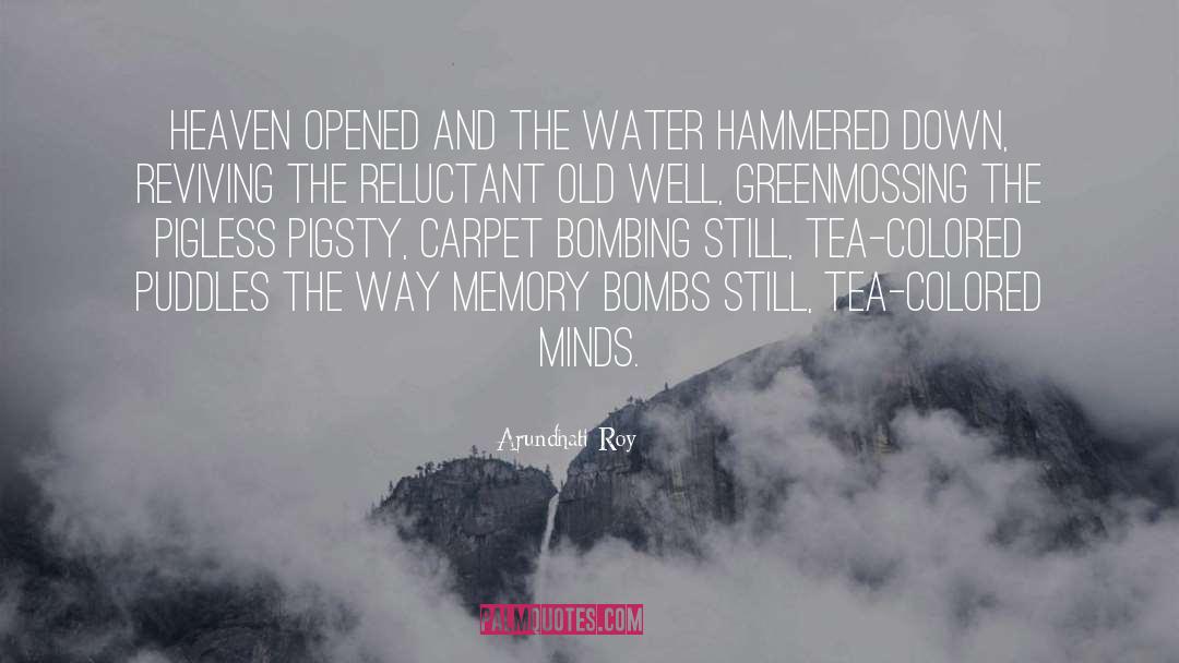 Arundhati Roy Quotes: Heaven opened and the water