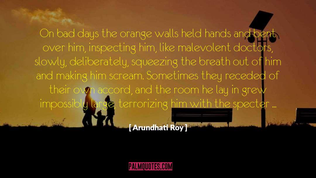 Arundhati Roy Quotes: On bad days the orange