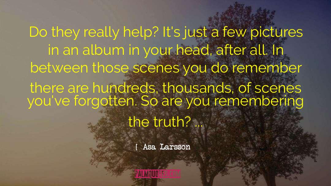 Asa Larsson Quotes: Do they really help? It's