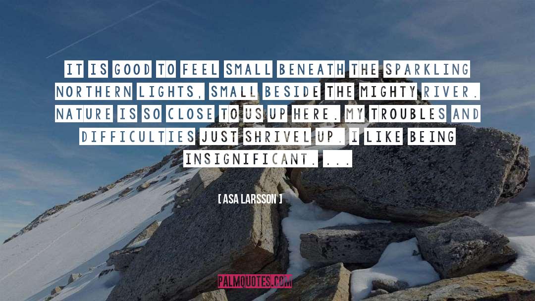 Asa Larsson Quotes: It is good to feel