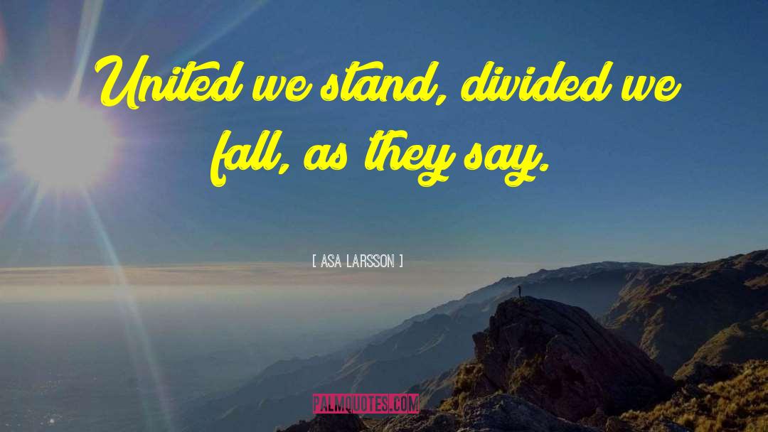 Asa Larsson Quotes: United we stand, divided we