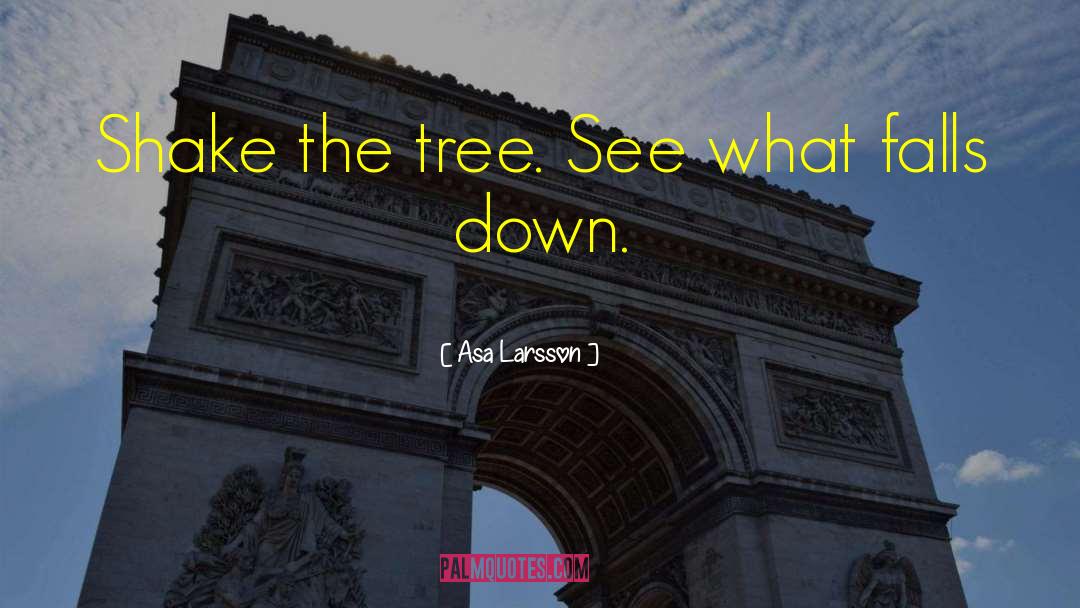 Asa Larsson Quotes: Shake the tree. See what