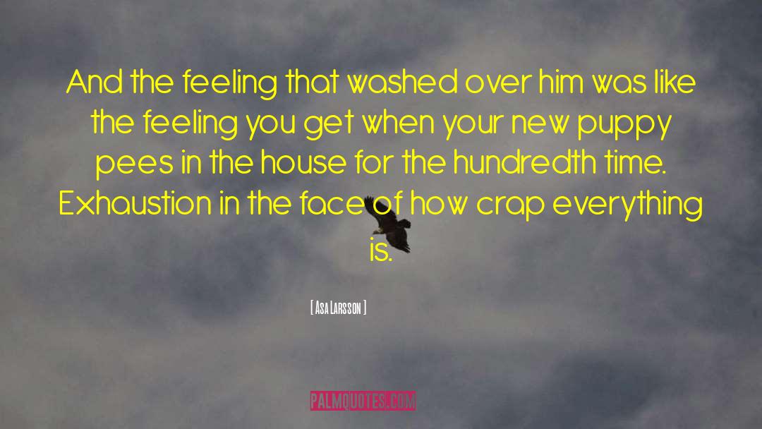 Asa Larsson Quotes: And the feeling that washed