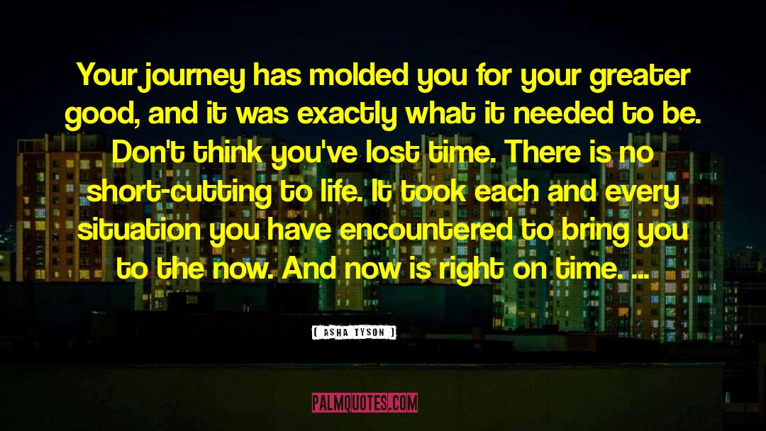 Asha Tyson Quotes: Your journey has molded you