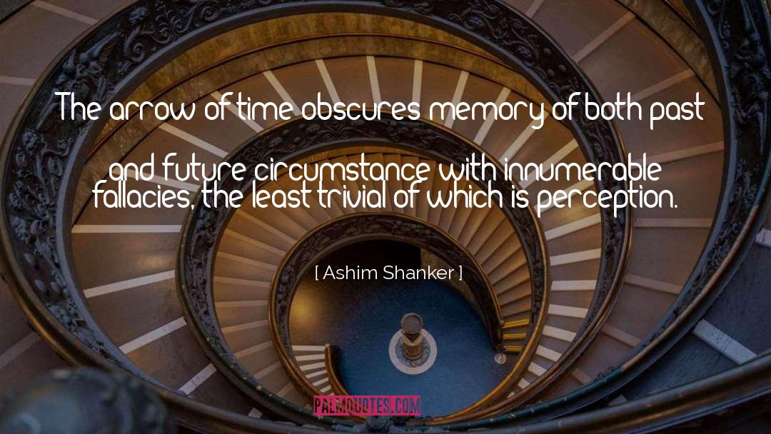 Ashim Shanker Quotes: The arrow of time obscures