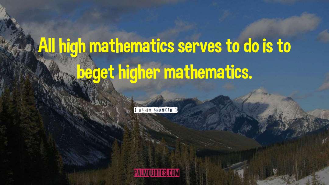 Ashim Shanker Quotes: All high mathematics serves to