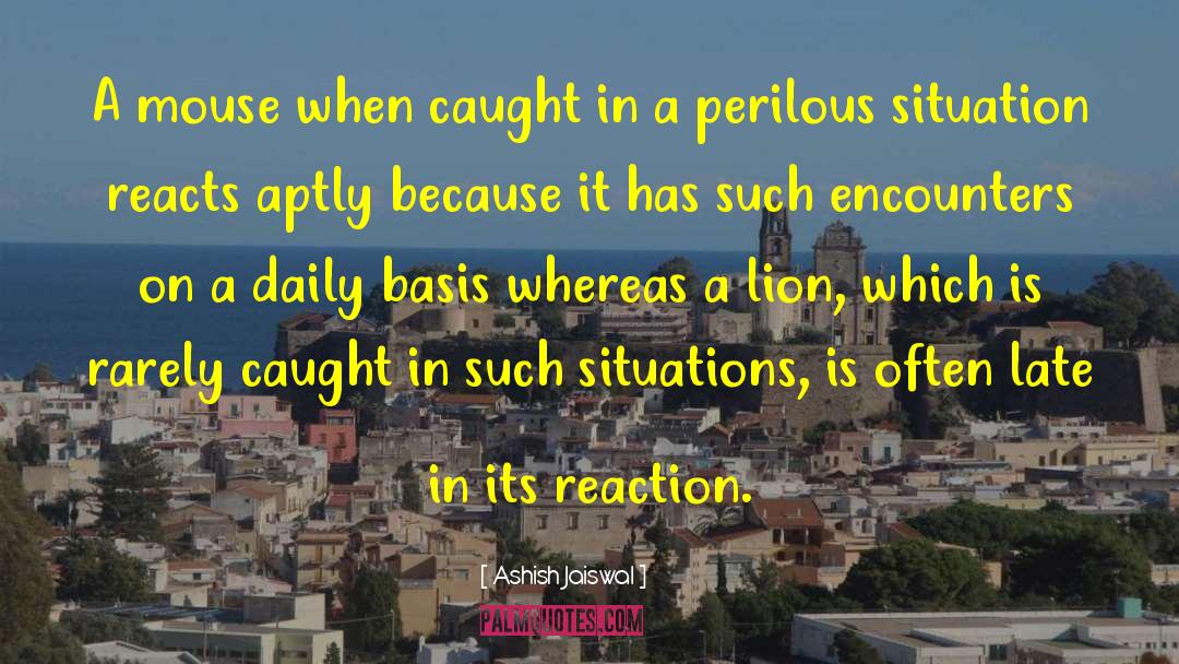 Ashish Jaiswal Quotes: A mouse when caught in