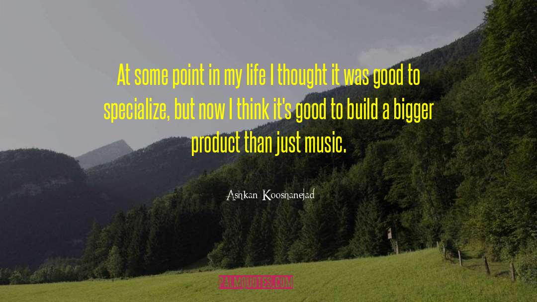 Ashkan Kooshanejad Quotes: At some point in my