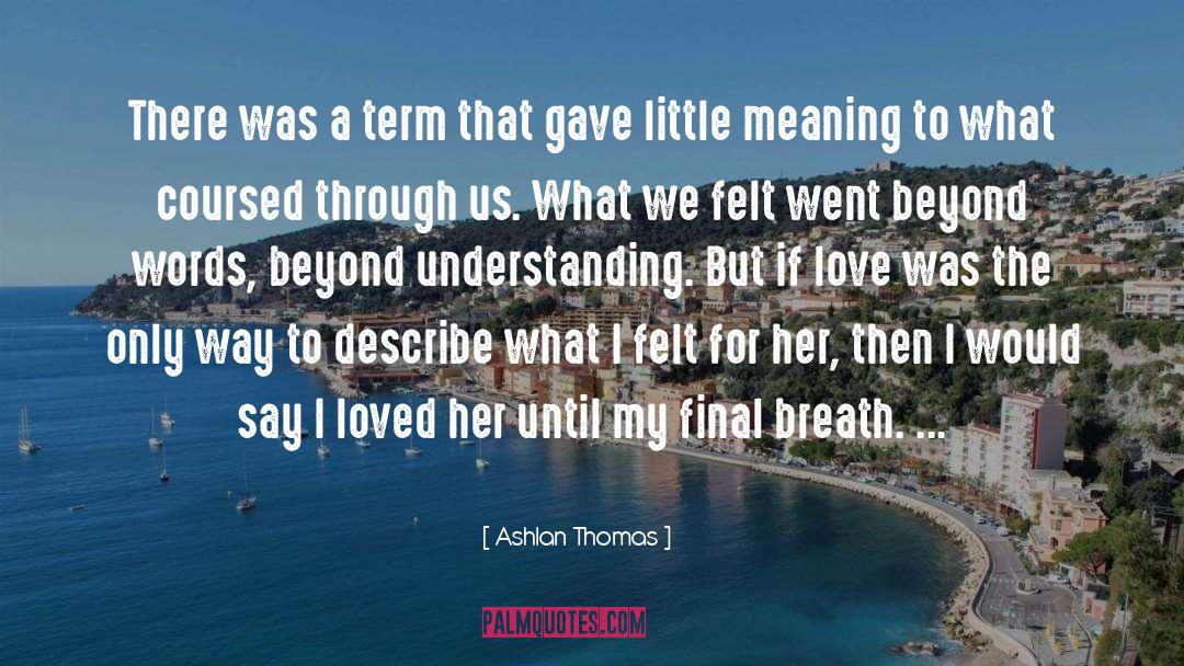 Ashlan Thomas Quotes: There was a term that