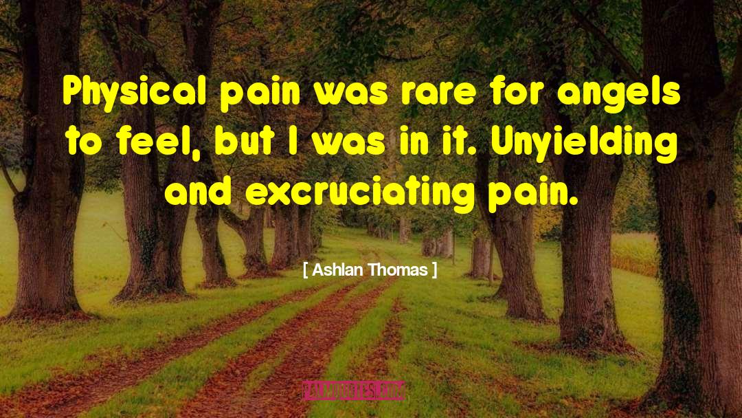 Ashlan Thomas Quotes: Physical pain was rare for