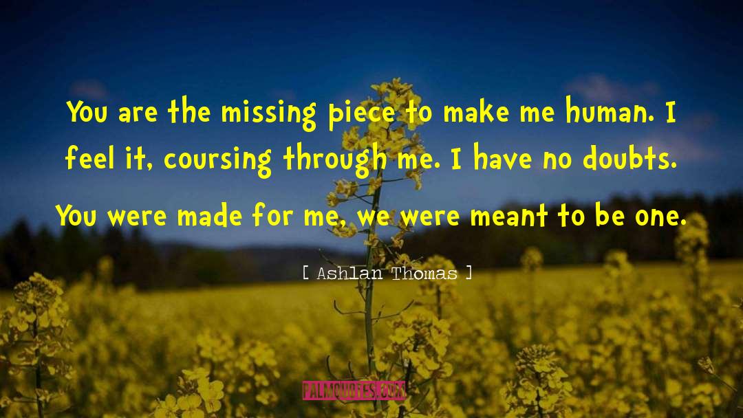 Ashlan Thomas Quotes: You are the missing piece