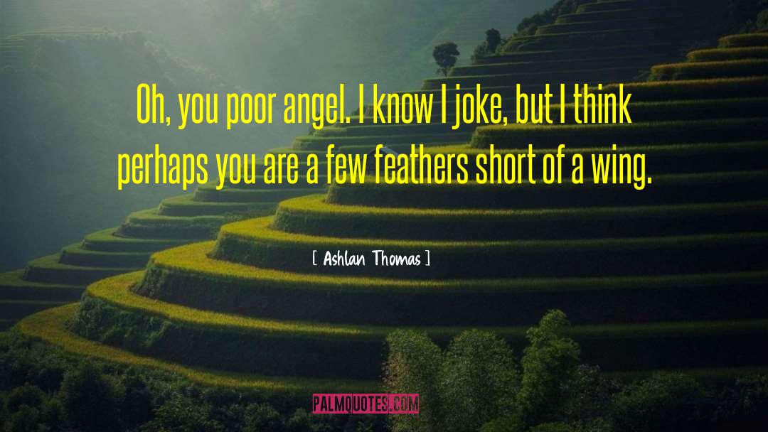 Ashlan Thomas Quotes: Oh, you poor angel. I