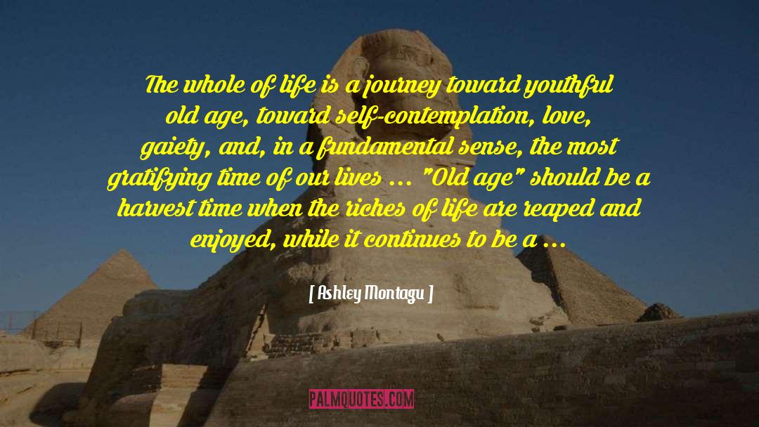 Ashley Montagu Quotes: The whole of life is