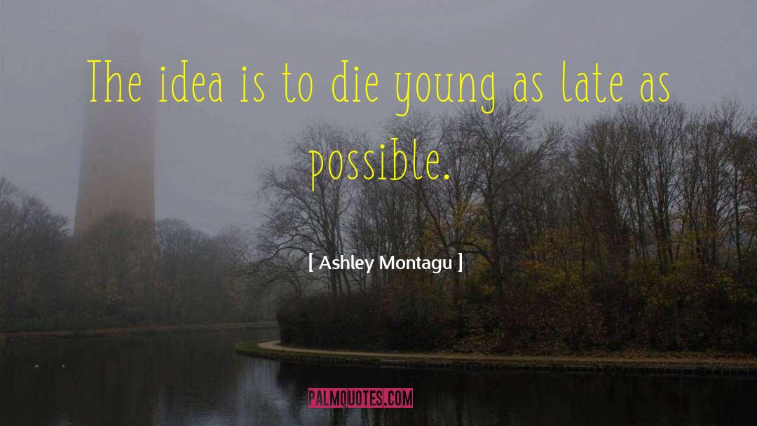 Ashley Montagu Quotes: The idea is to die