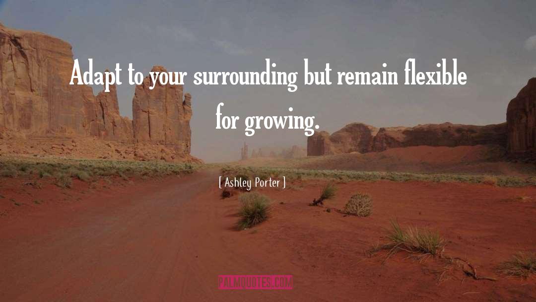 Ashley Porter Quotes: Adapt to your surrounding but