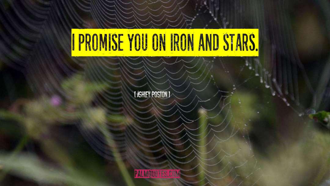Ashley Poston Quotes: I promise you on iron