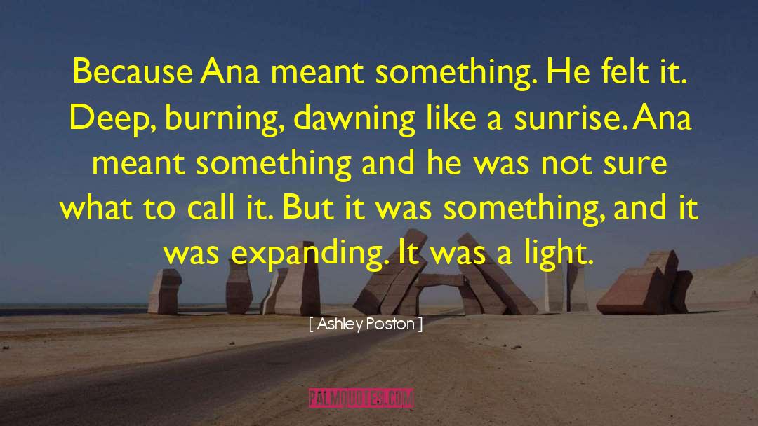 Ashley Poston Quotes: Because Ana meant something. He