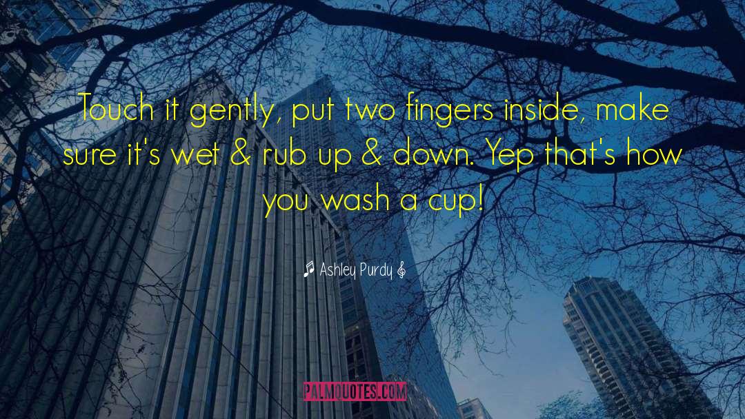 Ashley Purdy Quotes: Touch it gently, put two