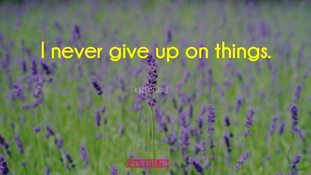 Ashley Tisdale Quotes: I never give up on