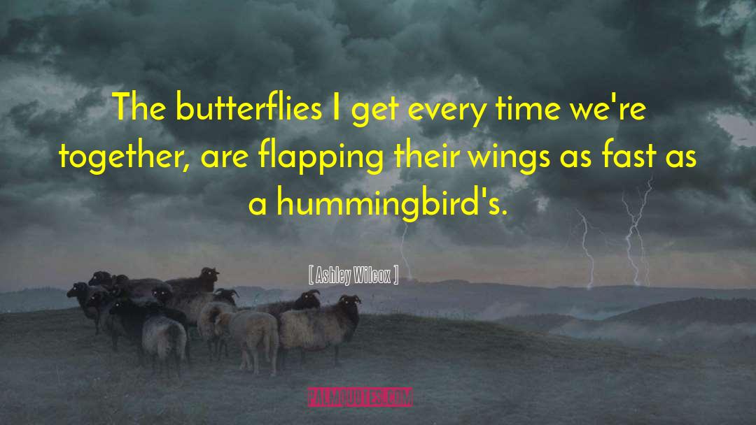 Ashley Wilcox Quotes: The butterflies I get every