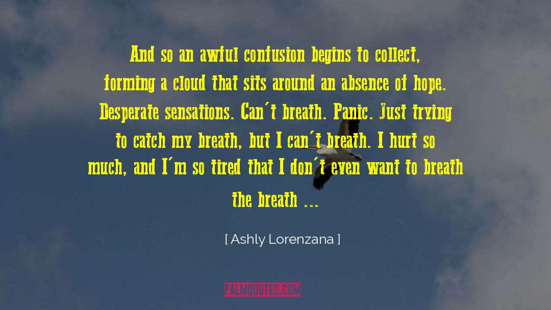 Ashly Lorenzana Quotes: And so an awful confusion