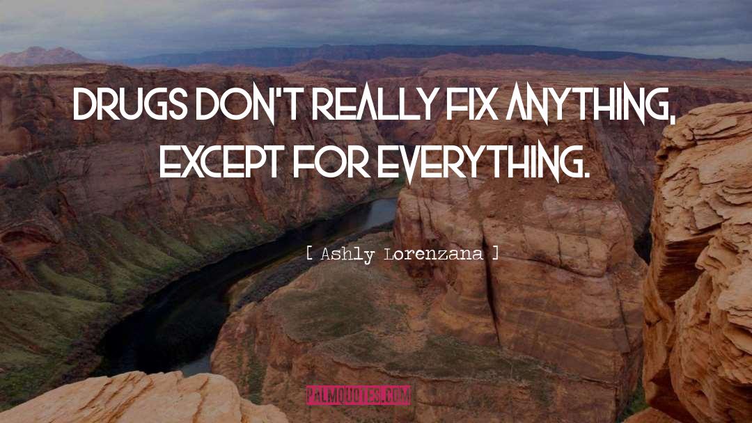 Ashly Lorenzana Quotes: Drugs don't really fix anything,