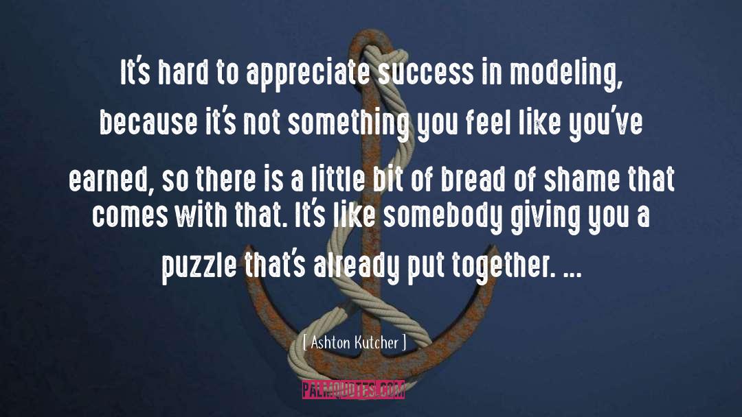 Ashton Kutcher Quotes: It's hard to appreciate success