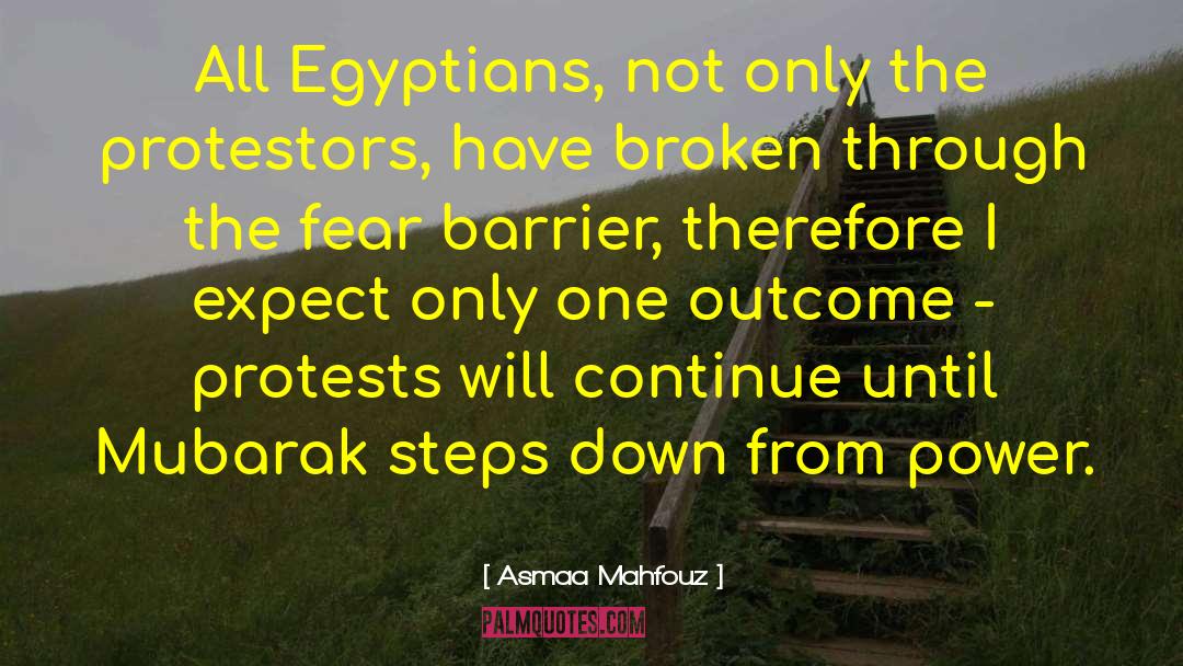 Asmaa Mahfouz Quotes: All Egyptians, not only the