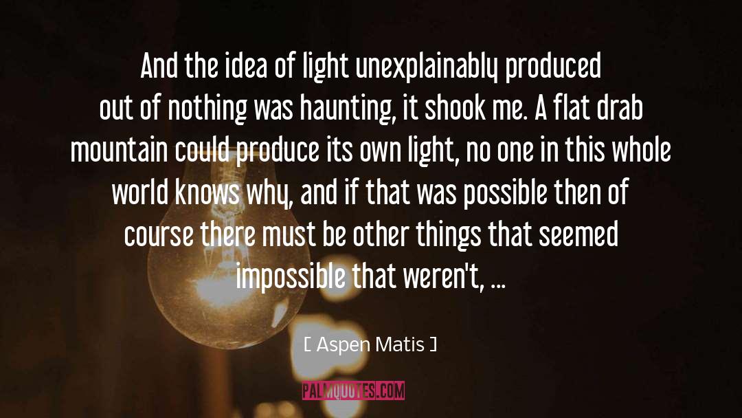 Aspen Matis Quotes: And the idea of light