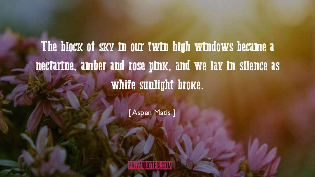 Aspen Matis Quotes: The block of sky in