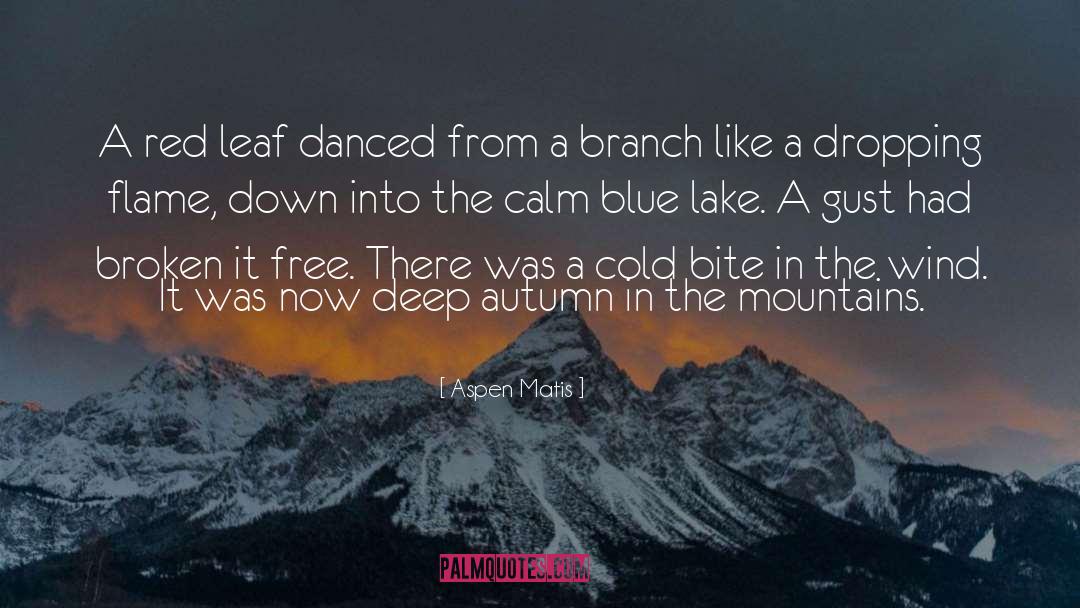 Aspen Matis Quotes: A red leaf danced from