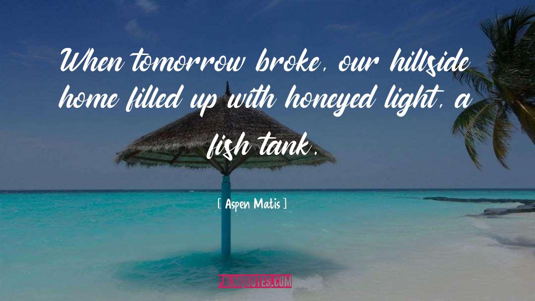 Aspen Matis Quotes: When tomorrow broke, our hillside