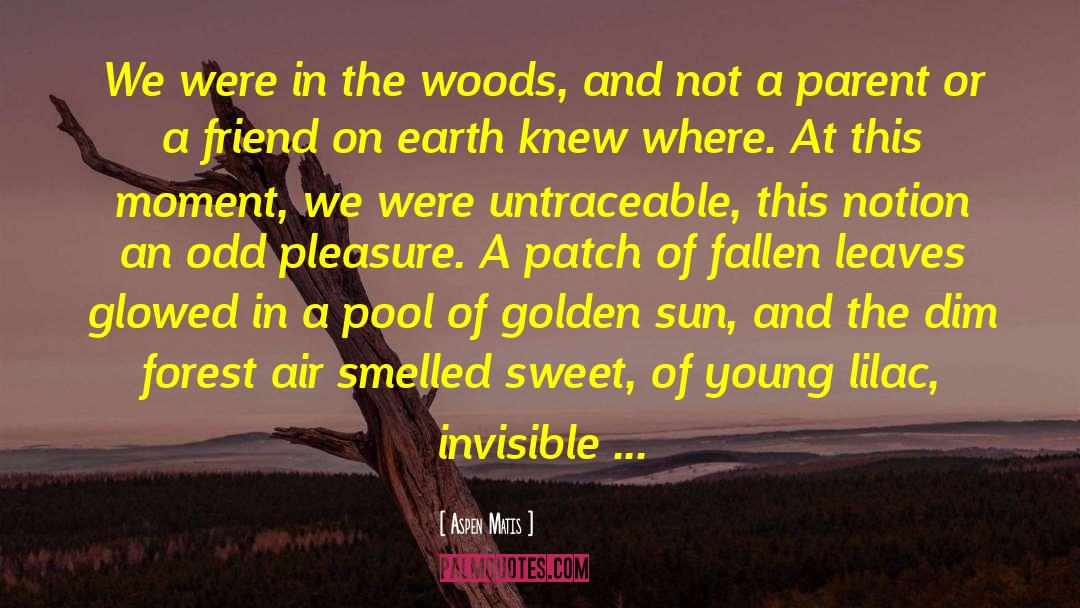 Aspen Matis Quotes: We were in the woods,