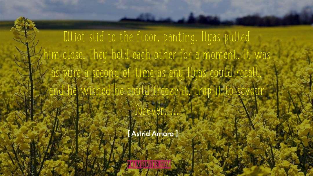 Astrid Amara Quotes: Elliot slid to the floor,