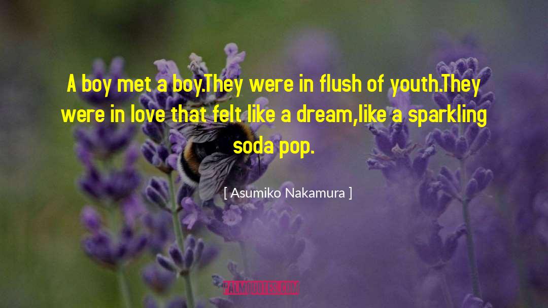 Asumiko Nakamura Quotes: A boy met a boy.<br