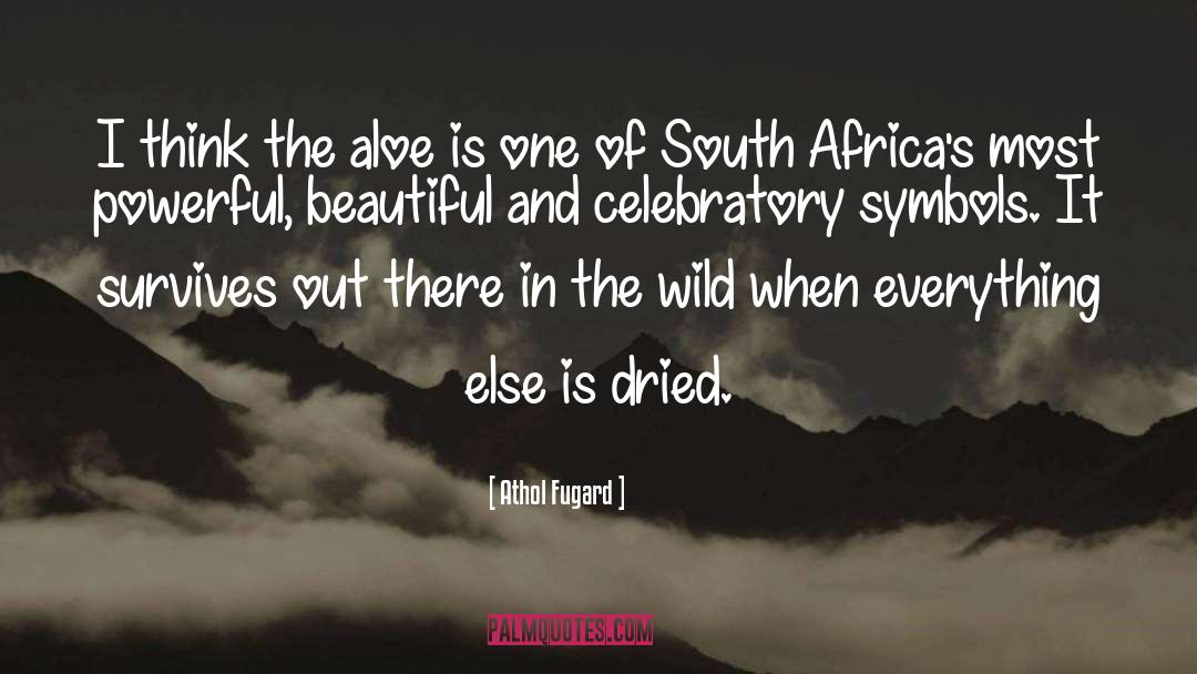 Athol Fugard Quotes: I think the aloe is