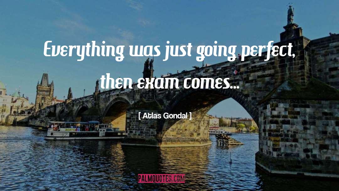 Atlas Gondal Quotes: Everything was just going perfect,