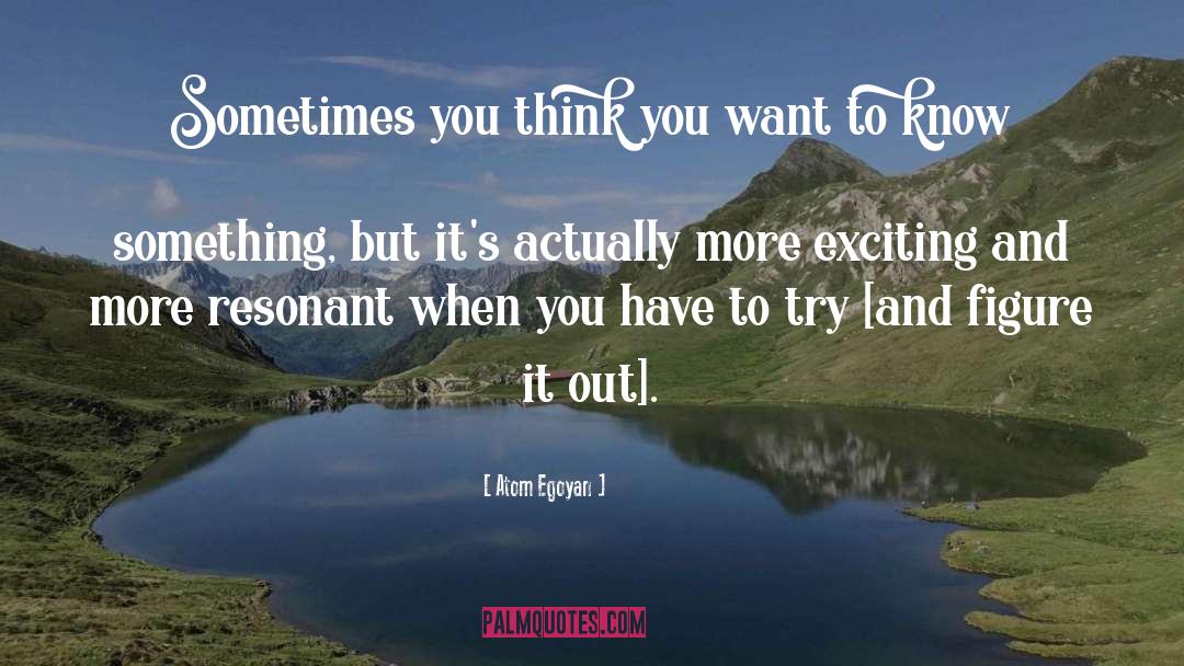 Atom Egoyan Quotes: Sometimes you think you want