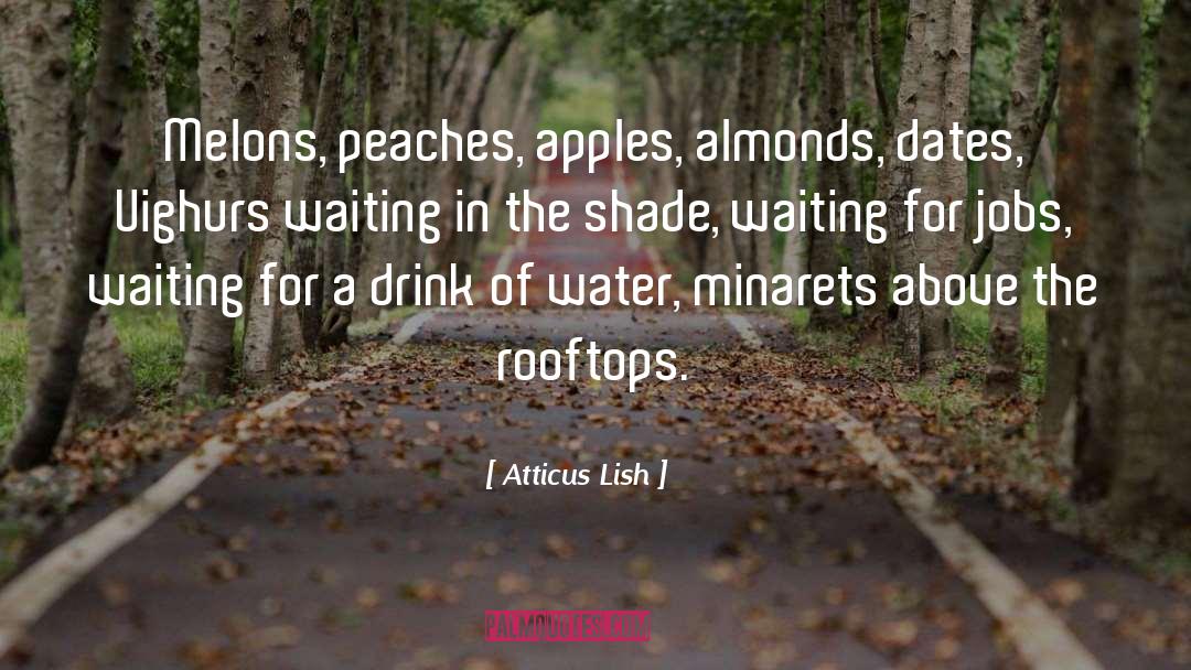 Atticus Lish Quotes: Melons, peaches, apples, almonds, dates,