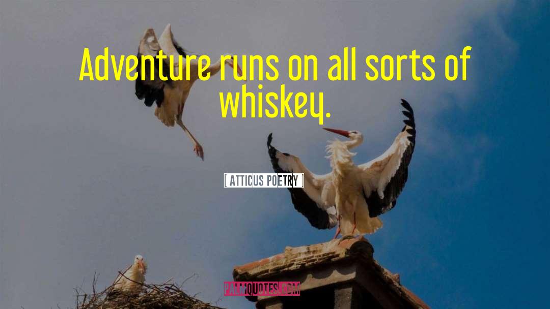 Atticus Poetry Quotes: Adventure runs on all sorts