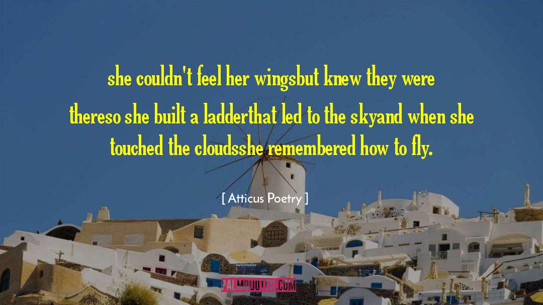 Atticus Poetry Quotes: she couldn't feel her wings<br