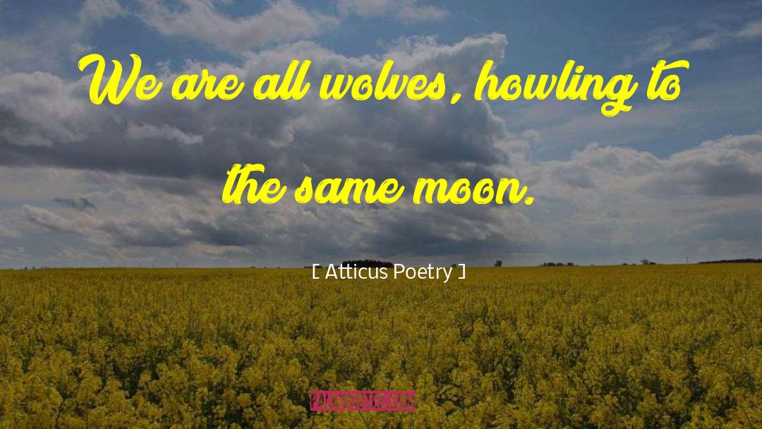 Atticus Poetry Quotes: We are all wolves, howling