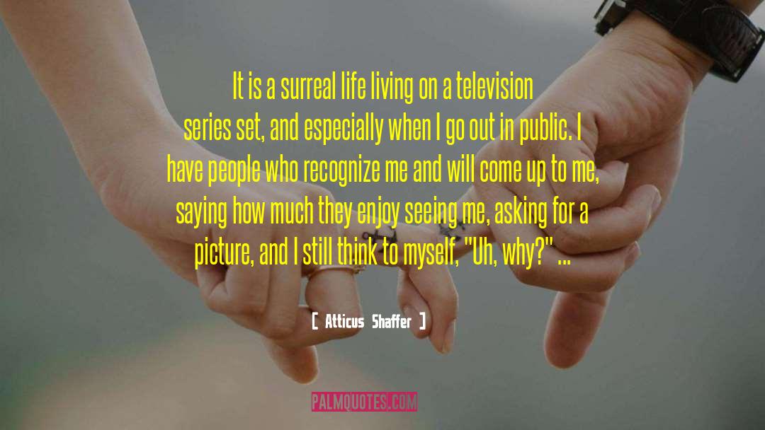 Atticus Shaffer Quotes: It is a surreal life