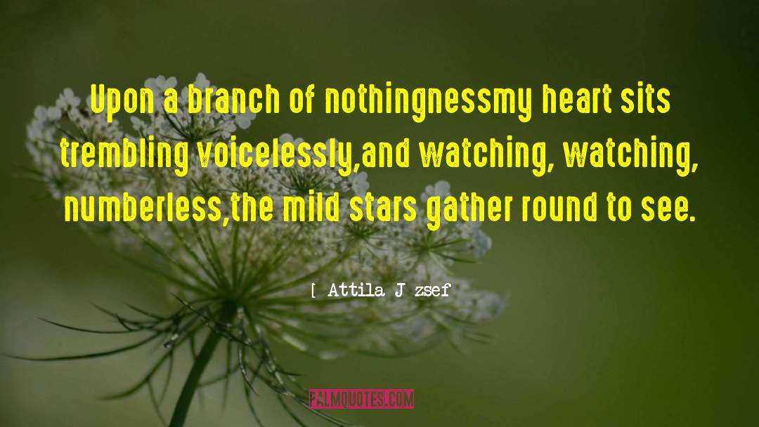 Attila József Quotes: Upon a branch of nothingness<br
